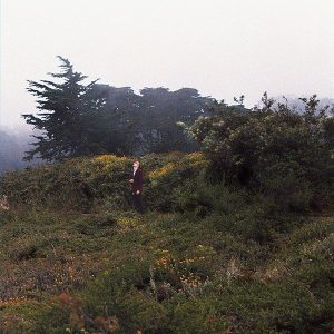 REDREDRED - Pattern Completion LP