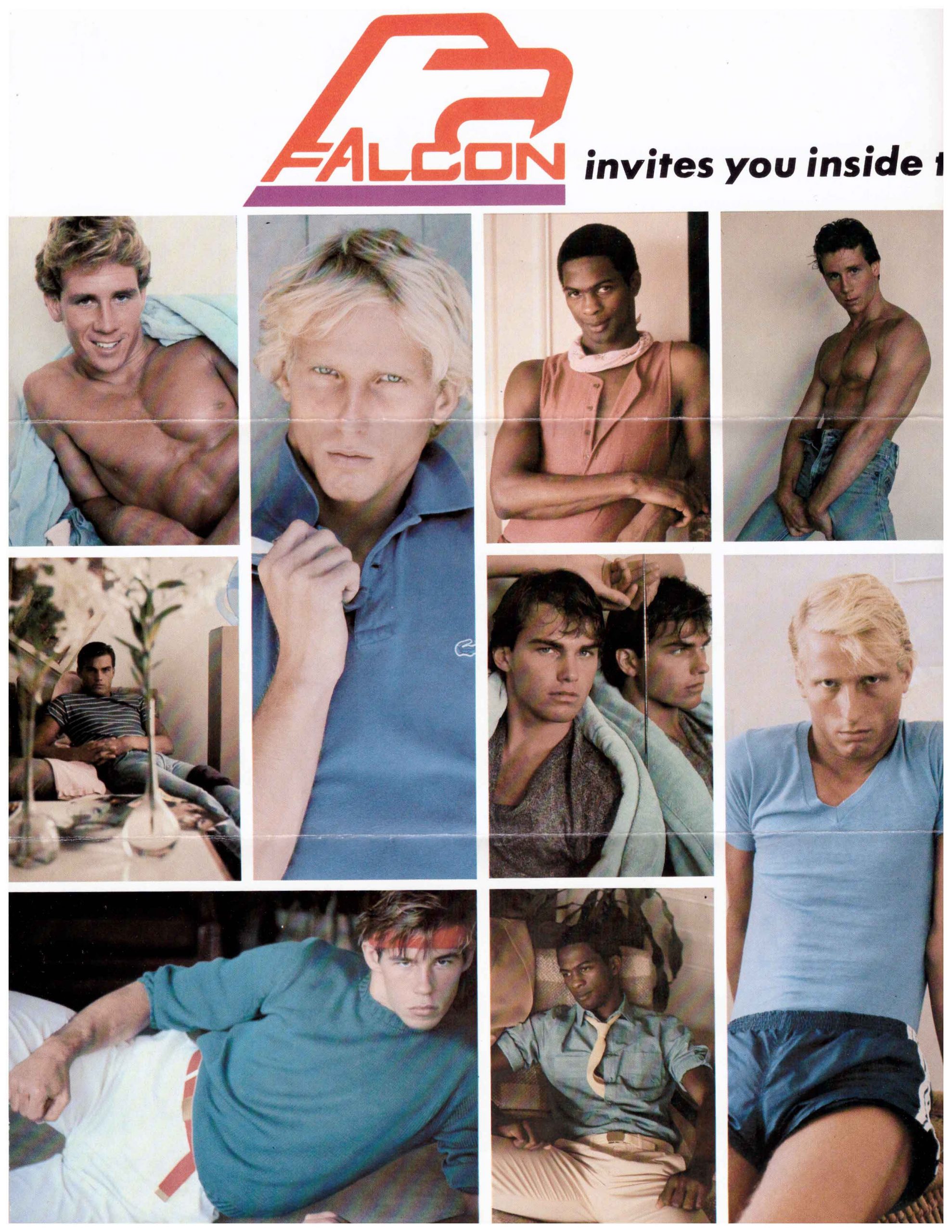 Falcon brochure 1981 – Dark Entries Records
