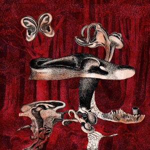 Anvil FX - Prova De Biologia
